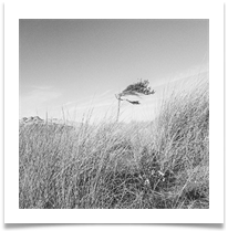Formby - Chris Beesley